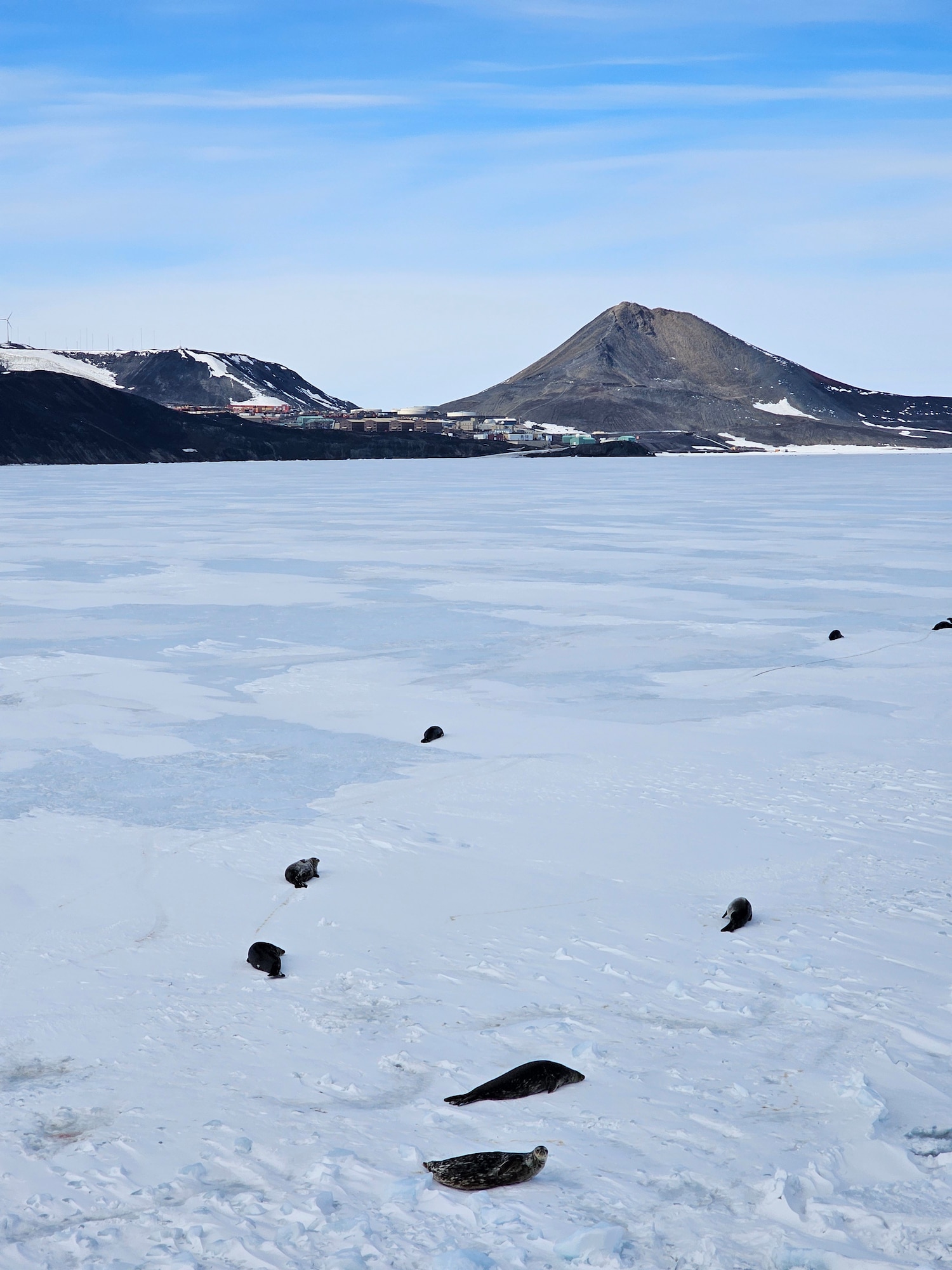 A group of seals are seen on the fast ice in front of McMurdo Station from the Coast Guard Cutter Polar Star (WAGB 10) in McMurdo Sound, Antarctica, Jan. 5, 2024. The U.S. military's support of U.S. Antarctic research began in 1955. U.S. Indo-Pacific Command continues to lead the Joint Task Force-Support Forces Antarctica team in providing logistic support for the United States Antarctic Program. (U.S. Coast Guard photo by Petty Officer 2nd Class Ryan Graves)