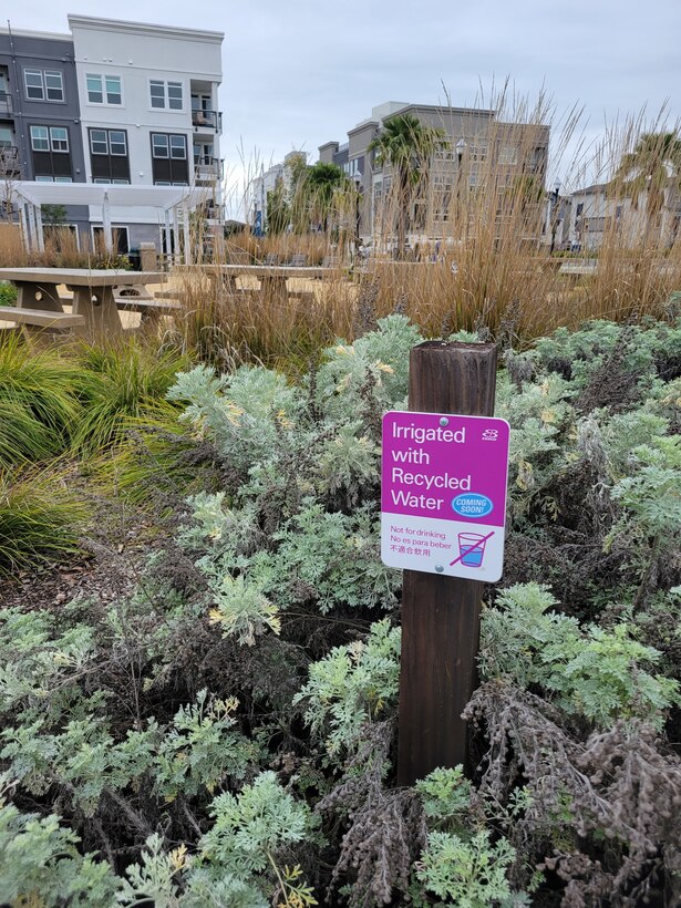 A plot of land with apartment buildings off in the distance and plants and shrubs toward the front of the photo with a sign that says recycled water used for irrigation.