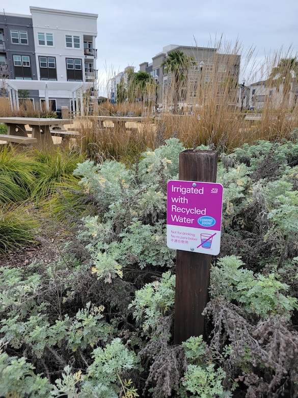 A plot of land with apartment buildings off in the distance and plants and shrubs toward the front of the photo with a sign that says recycled water used for irrigation.