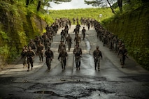 Marines Patrol