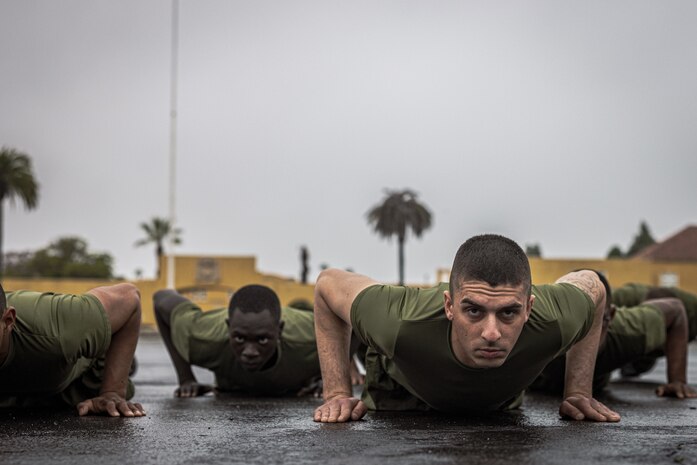 New U.S. Marines with Bravo Company, 1st Recruit Training Battalion, execute push-ups during a motivational run at Marine Corps Recruit Depot San Diego, Jan. 25, 2024. The motivational run is the final training event new Marines complete before graduating which consists of a three-mile run throughout the Depot. (U.S. Marine Corps photo by Lance Cpl. Jacob B. Hutchinson)