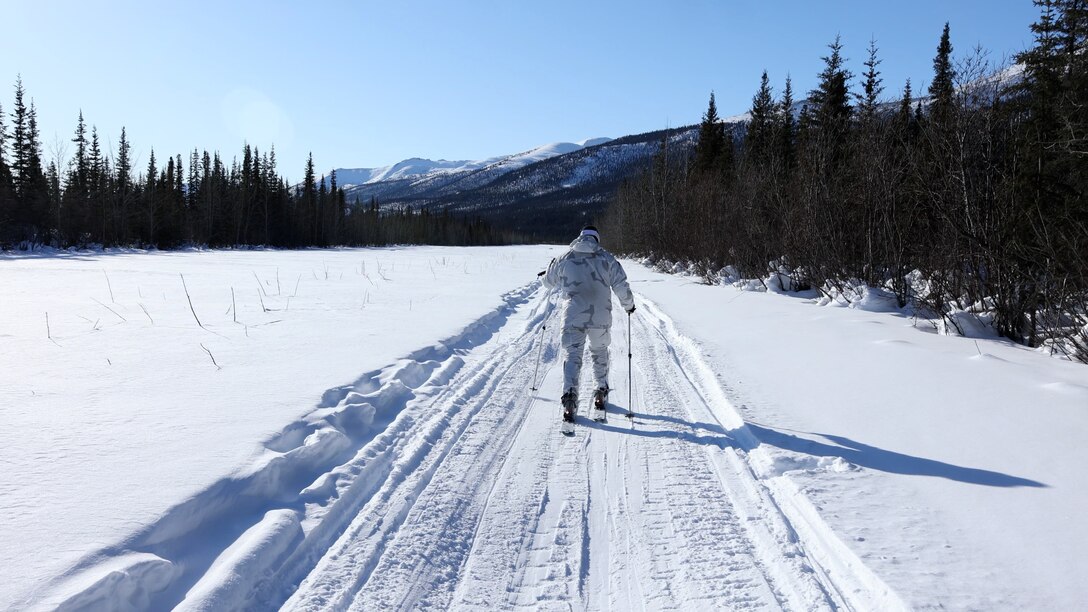 A Green Beret with 10th Special Forces Group (Airborne) skis to a helicopter landing zone during Exercise ARCTIC EDGE 2022 in Wiseman, Alaska, March 14, 2022. AE22 is a biennial, multi-service exercise designed to provide realistic and effective training for participants using the premier training locations available throughout Alaska February 28 – March 17. (U.S. Army photo by Staff Sgt. Anthony Bryant)