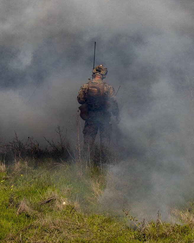 U.S. Marines with 1st Air Naval Gunfire Liaison Company assess firepower control teams