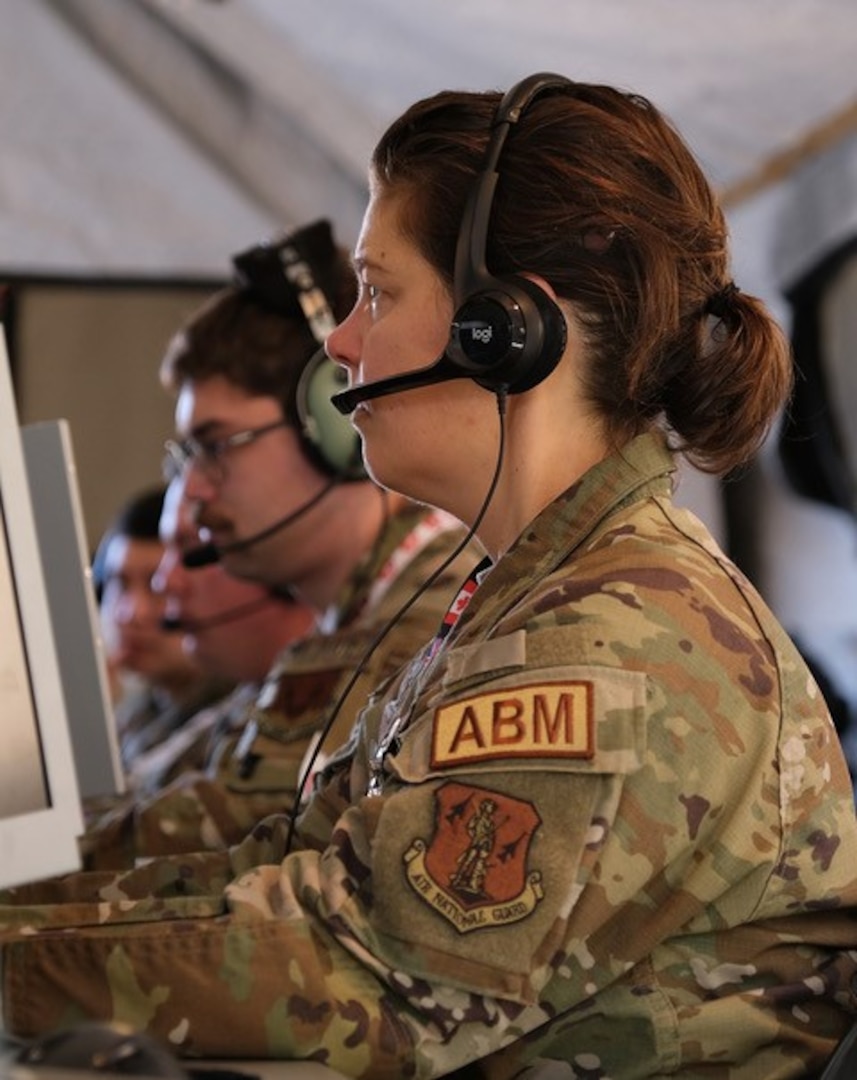 uniformed military member works on computer