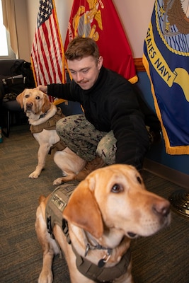 240124-N-KC192-1089 PORTSMOUTH, Va. (Jan. 24, 2024) Personnel Specialist 2nd Class Kaleb Bacon, the directorate for administration assistant lead petty officer assigned to Naval Medical Forces Atlantic (NMFL), interacts with service dogs during stress management as part of Sailor 360 training on board Navy Support Activity (NSA) Hampton Roads - Portsmouth Annex, Jan. 24, 2024. Sailor 360 gives leaders the flexibility to tailor existing source material to fit their needs. The program allows Sailors of all ranks to speak candidly towards improving their personal and professional cooperation. (U.S. Navy photo by Mass Communication Specialist 2nd Class Levi Decker)