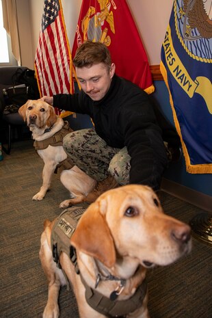 240124-N-KC192-1089 PORTSMOUTH, Va. (Jan. 24, 2024) Personnel Specialist 2nd Class Kaleb Bacon, the directorate for administration assistant lead petty officer assigned to Naval Medical Forces Atlantic (NMFL), interacts with service dogs during stress management as part of Sailor 360 training on board Navy Support Activity (NSA) Hampton Roads - Portsmouth Annex, Jan. 24, 2024. Sailor 360 gives leaders the flexibility to tailor existing source material to fit their needs. The program allows Sailors of all ranks to speak candidly towards improving their personal and professional cooperation. (U.S. Navy photo by Mass Communication Specialist 2nd Class Levi Decker)