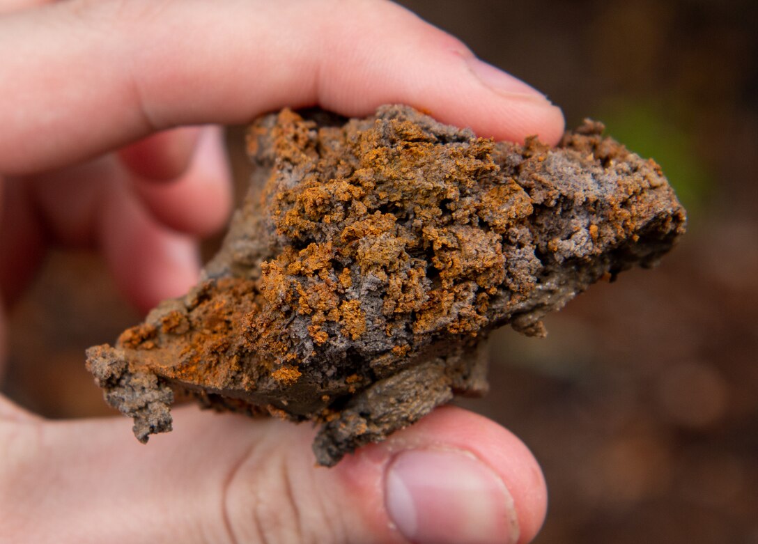 Soil