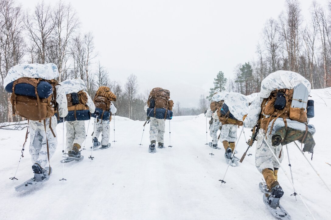 Exercise Nordic Response, formerly known as Cold Response, is a NATO training event conducted every two years to promote military competency in arctic environments and to foster interoperability between the U.S. Marine Corps and allied nations. (U.S. Marine Corps photo by Cpl. Christopher Hernandez)