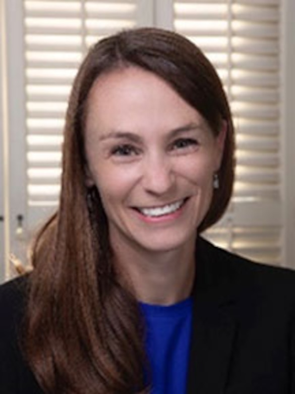 Dr. Sheena Chestnut Greitens
Visiting Associate Professor