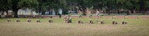 Kilo Company Grass Week