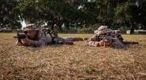 Kilo Company Grass Week