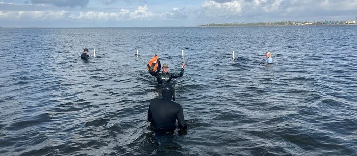 people in wet suits in the water of East Bay.