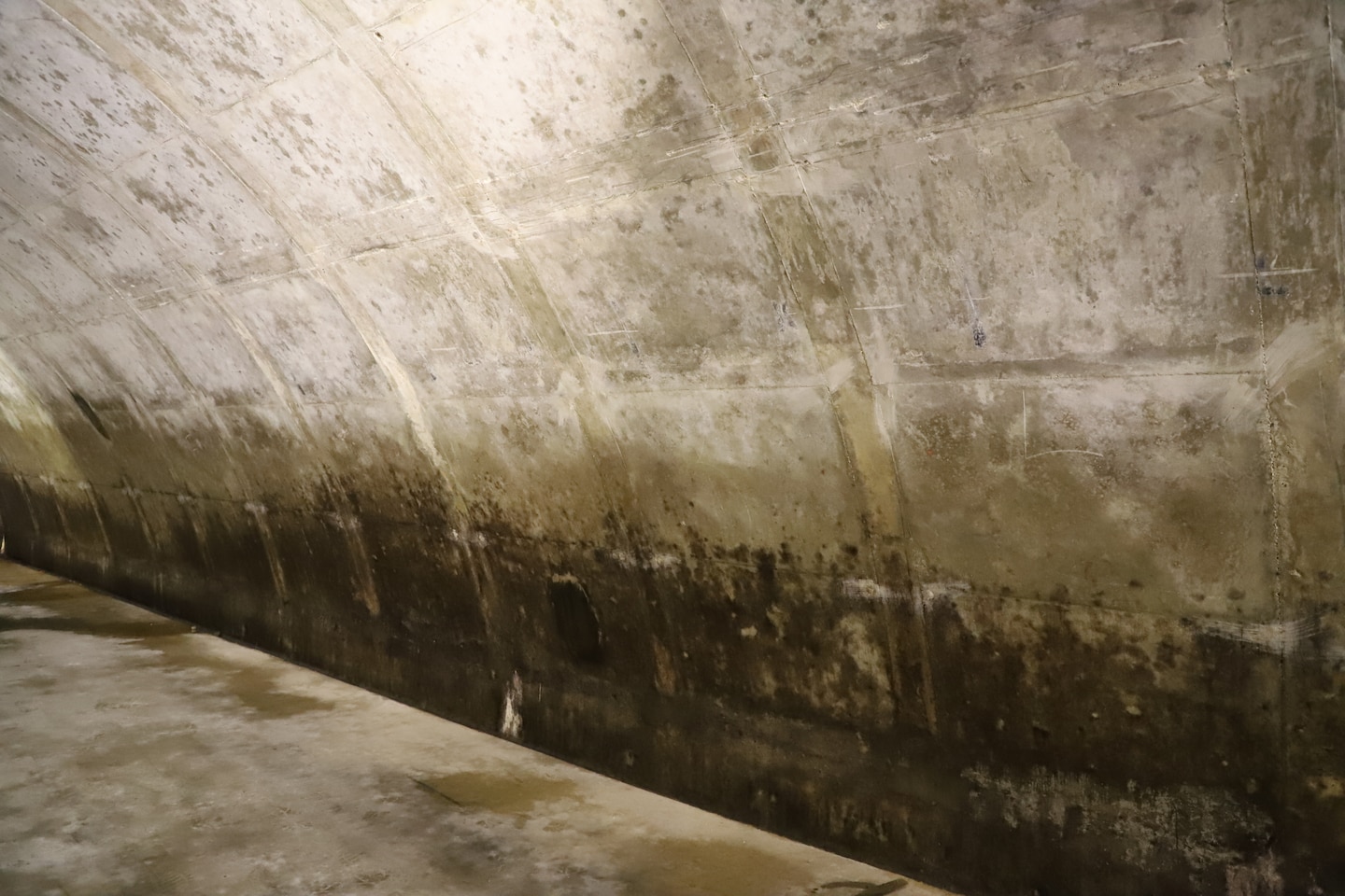 Black mold along the walls inside the Earth Covered Magazines (ECMs)