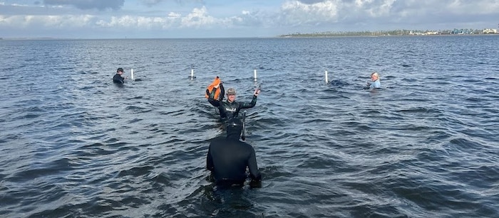 people in wet suits in the water of East Bay.