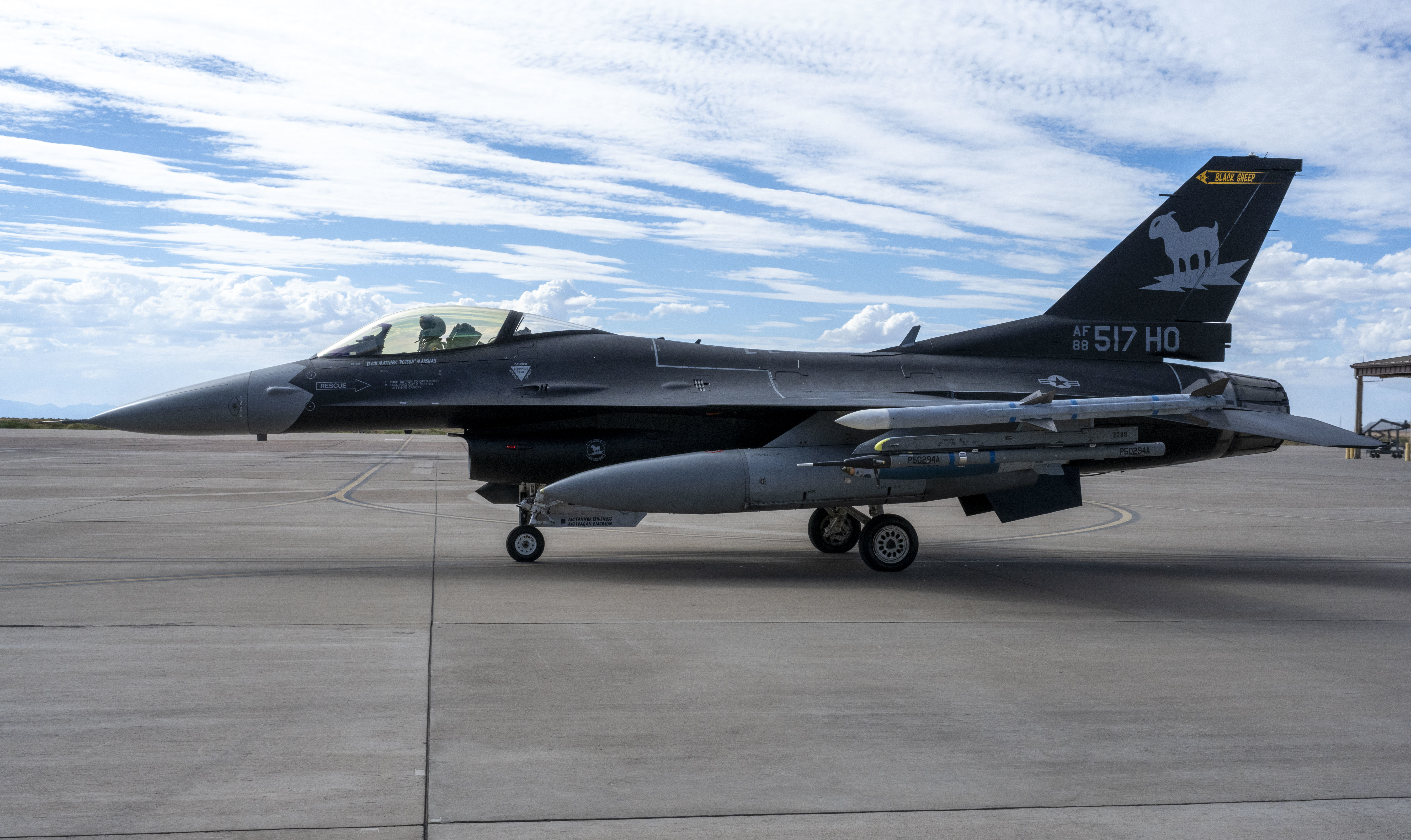 AVIREX F-117A Nighthawk フライトジャケット ブラック 8th Fighter Squadron unveils new flagship honoring F-117 Nighthawk