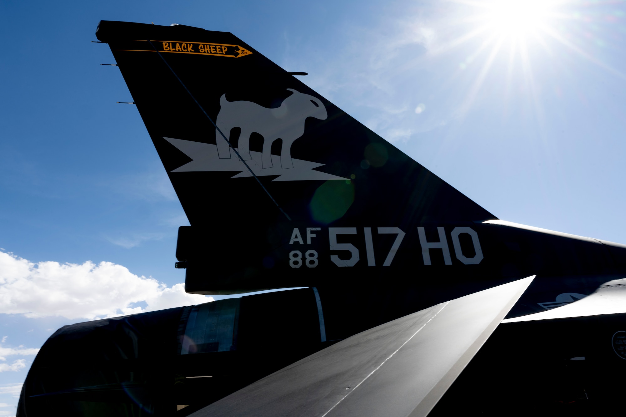 The 8th Fighter Squadron displays a freshly painted F-16 Viper tail showcasing the black sheep symbol at Holloman Air Force Base, New Mexico, June 25, 2024. The 8th Fighter Squadron unveiled its new flagship, painted with a matte black color scheme that draws inspiration from the legendary F-117 Nighthawk stealth aircraft. (U.S. Air Force photo by Airman 1st Class Michelle Ferrari)