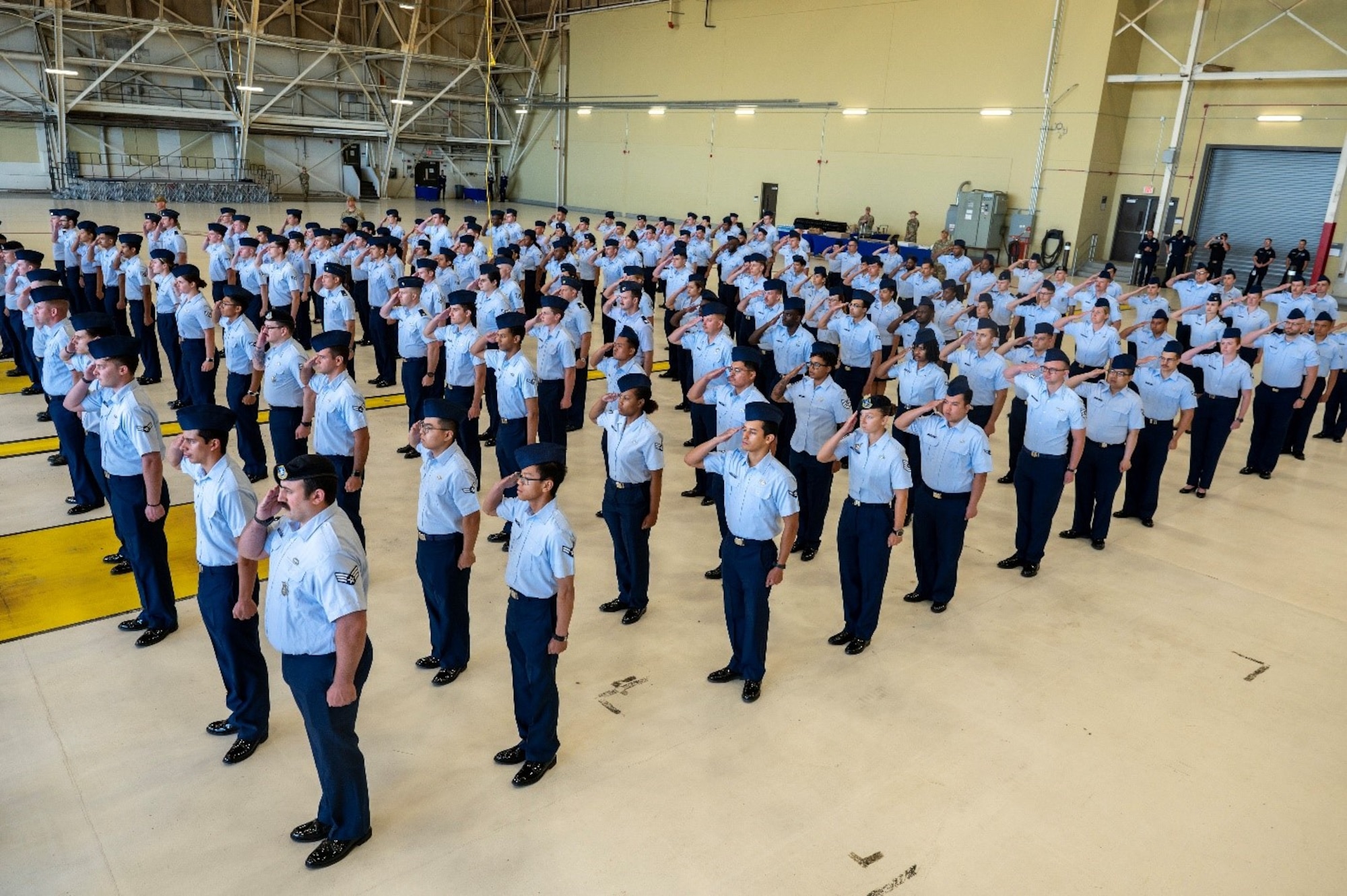 Military members salute in formation