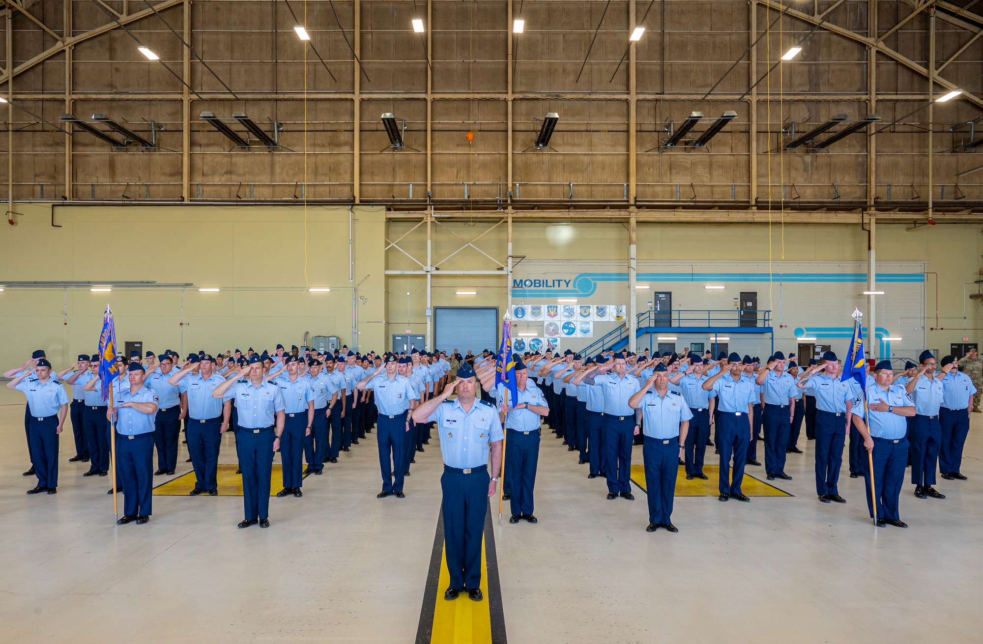 Military members salute in formation