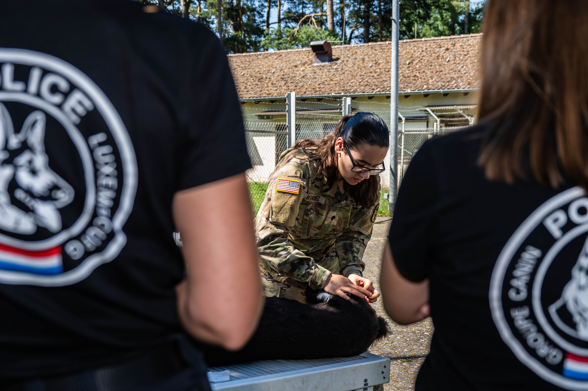 Police dog handlers watch as a U.S. Army soldier wraps a limb on the mannequin of a dog lying on a table.