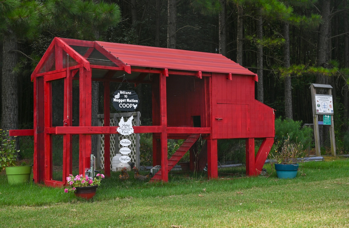 A Chicken Coop, titled “Nugget Nation COOP” sits behind the Jacksonville Lighthouse Charter School