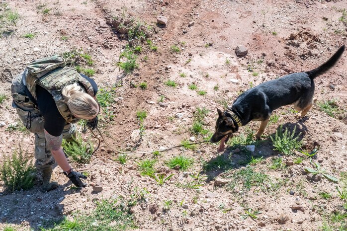 An Air Force military working dog handler points to the ground as her working dog walks over to the spot in an open, sandy field.