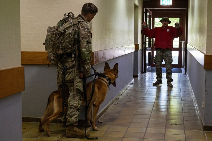U.S. Army military working dog handler looks from out behind a wall down a hall at a U.S. Airmen with his hands raised wearing a red dog-bit protection vest in an old building.
