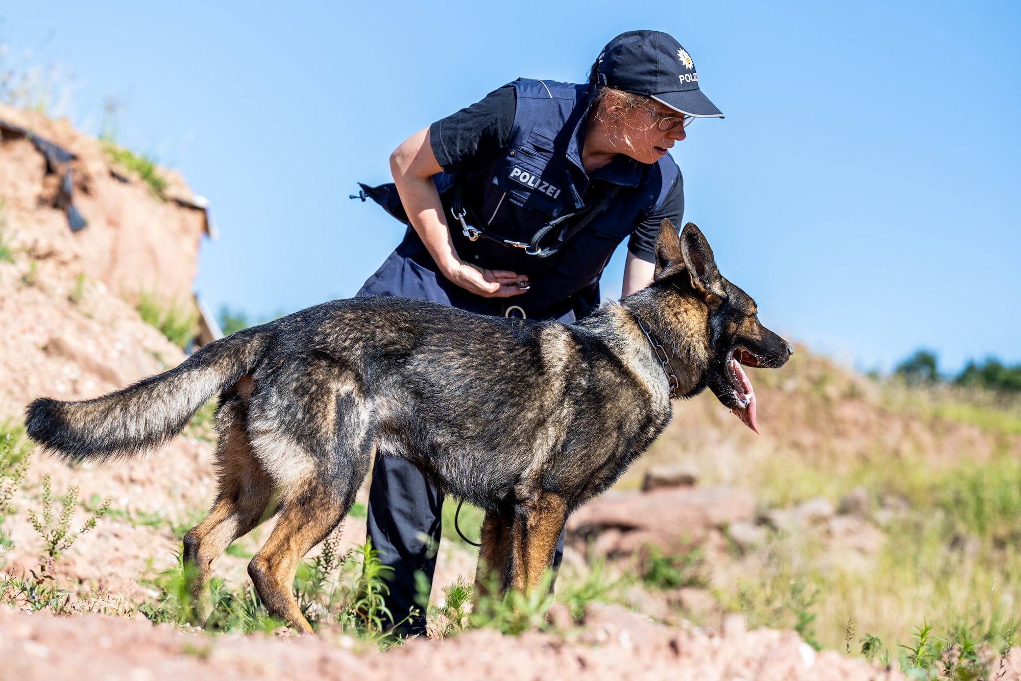 A police dog handler and her dog look across an open, sandy field.
