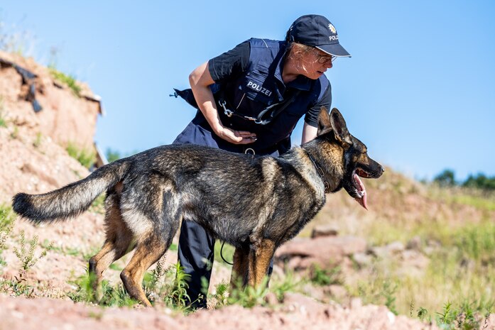 A police dog handler and her dog look across an open, sandy field.