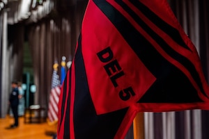 A DEL 5 flag is on stage in an auditorium.