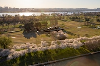 An Army VH-60M "gold top" Black Hawk helicopter flies near the Potomac River. There are blooming cherry trees visible on the ground.