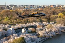 An Army VH-60M "gold top" Black Hawk helicopter flies near the Martin Luther King Jr. Memorial with blooming cherry trees visible on the ground.