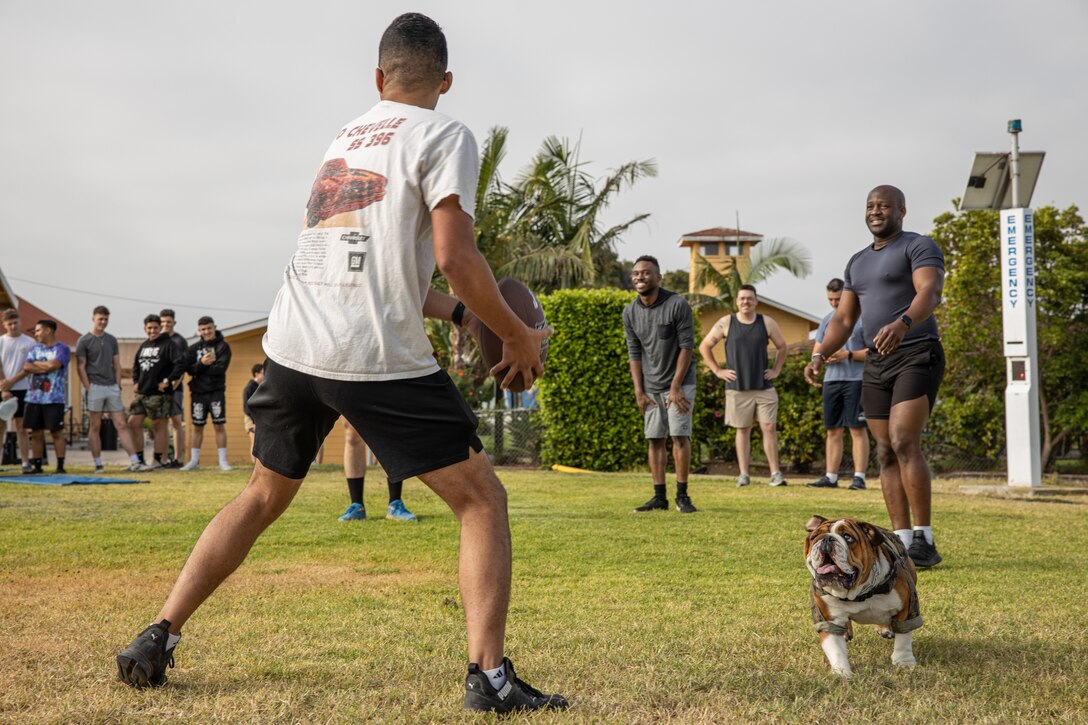 U.S. Marine Corps Pfc. Bruno, the mascot of Marine Corps Recruit Depot San Diego and the Western Recruiting Region, plays football with Marines with Headquarters and Service Battalion, Marine Corps Recruit Depot San Diego, during the H&S Battalion Atlas Games at MCRD San Diego, California, July 2, 2024. The mascot's job is to boost morale, participate in outreach work and attend events and ceremonies. The Atlas games is an annual battalion field meet that incorporates leadership skills and team work to enhance individual readiness, unit cohesion, boost morale and foster esprit de corps among Marines. (U.S. Marine Corps photo by Cpl. Sarah M. Grawcock)