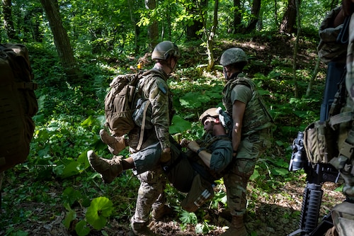 Exercise participants evacuate a simulated wounded U.S. Marine Corps ordnance disposal technician during Exercise Tanuki Bandit 24 at Draughn Range near Misawa Air Base, Japan, June 27, 2024.