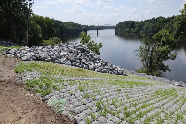 Picture of a river bank.
