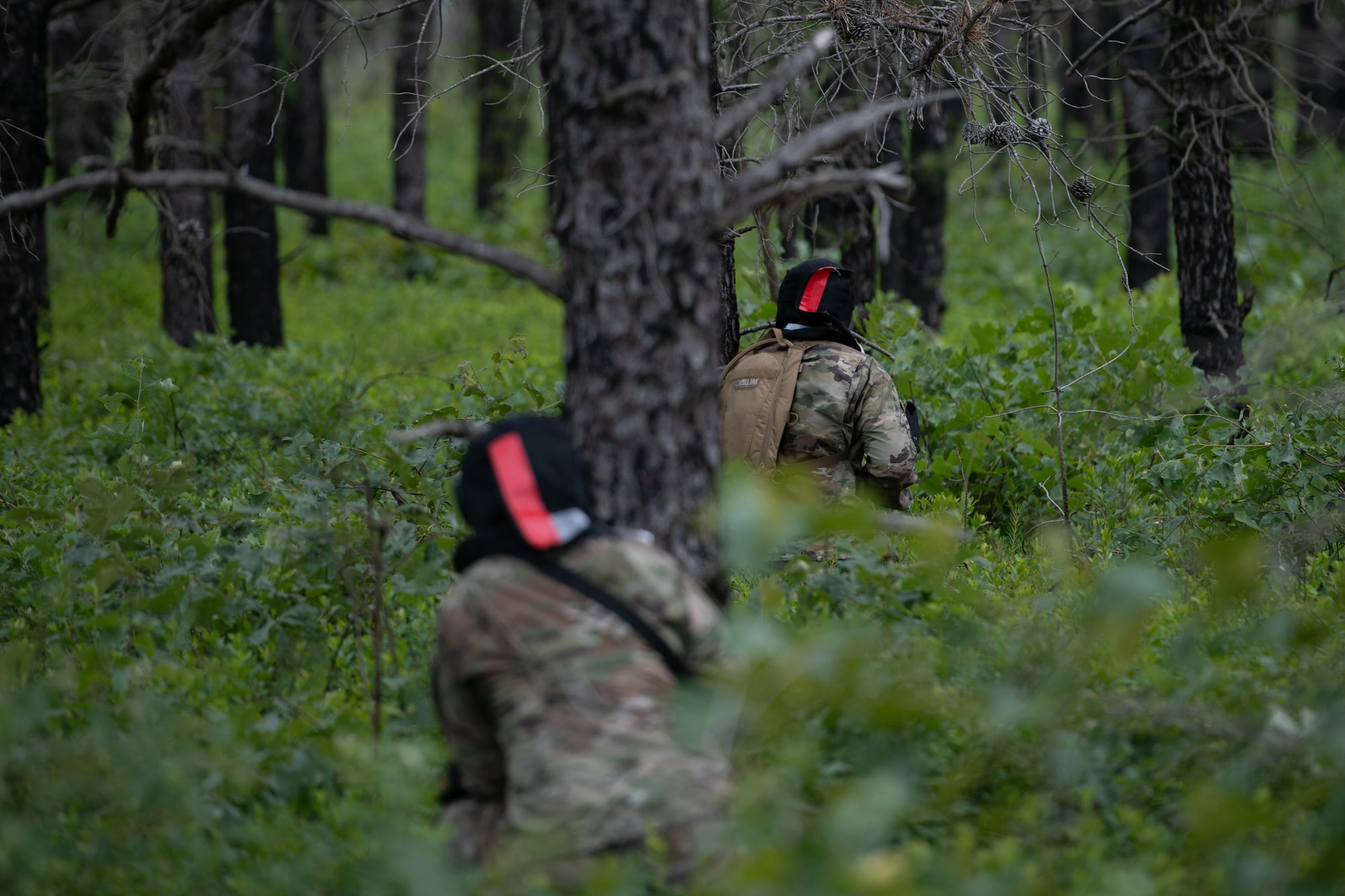 Airmen assigned to the 171st Civil Engineer Squadron and the 177th Civil Engineer Squadron perform land navigation and simulated combat training exercises as part of the Piney Devil training exercise June 9, 2024, at Warren Grove Range, New Jersey.
