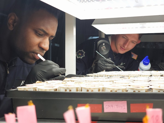 Moses Vital, Analog Research Group 6I mission specialist, and Spc. 4 William Wallace, 4th Space Operations Squadron payload engineer, tend to plants at the University of North Dakota’s Integrated Lunar/Mars Habitat facility in Grand Forks, N.D., in May 2024