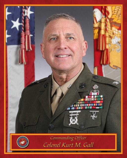 Colonel Kurt M. Gall > 2nd Marine Aircraft Wing > Command Biography