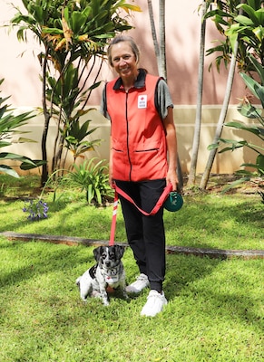 Leia, a 3- year-old dachshund mix, has been a volunteer therapy dog with the visitation program through the American Red Cross for six months. She and handler Janice Draper volunteer at Tripler Army Medical Center.