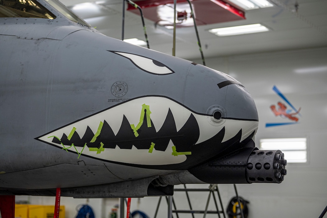 An A-10C Thunderbolt II receives its iconic nose art paint job at Moody Air Force Base, Georgia, July 19, 2024. The unique and world-famous nose art traces its heritage to the original Flying Tigers during World War II — originally used to strike fear into its enemies on the battlefield. (U.S. Air Force photo by Airman 1st Class Leonid Soubbotine)