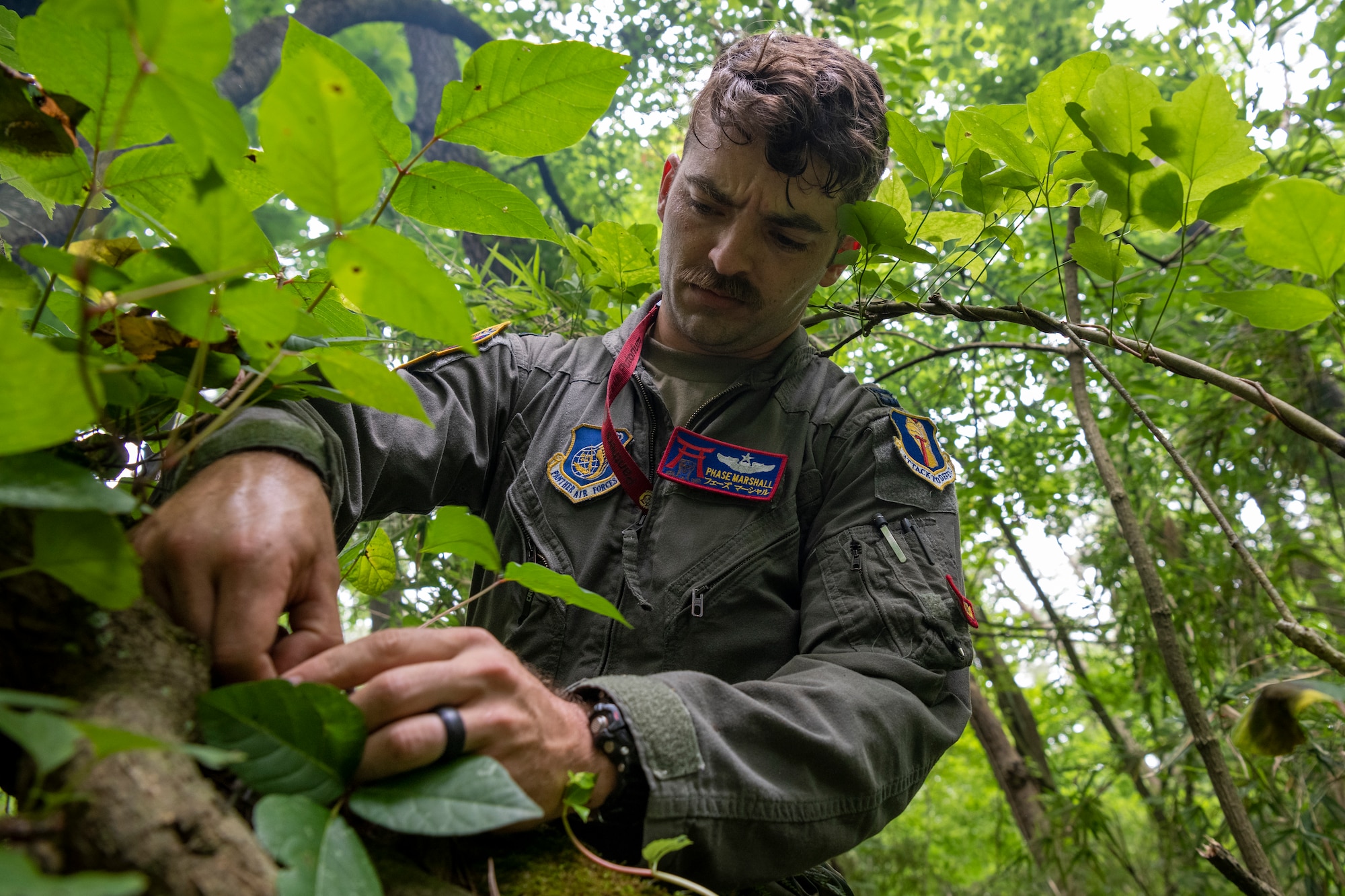 U.S. Air Force Capt. Jonathan Marshall, 35th Operations Support Squadron pilot, procures kindling from a tree during a Combat Survival Training exercise led by Survival, Evasion, Resistance, Escape (SERE) specialists at Draughon Range near Misawa Air Base, Japan, July 16, 2024.
