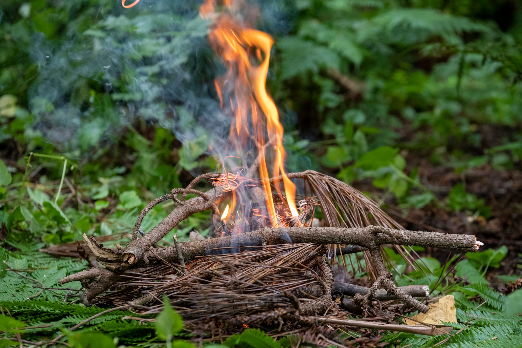 A small fire burns during a Combat Survival Training exercise led by Survival, Evasion, Resistance, Escape (SERE) specialists at Draughon Range near Misawa Air Base, Japan, July 16, 2024.