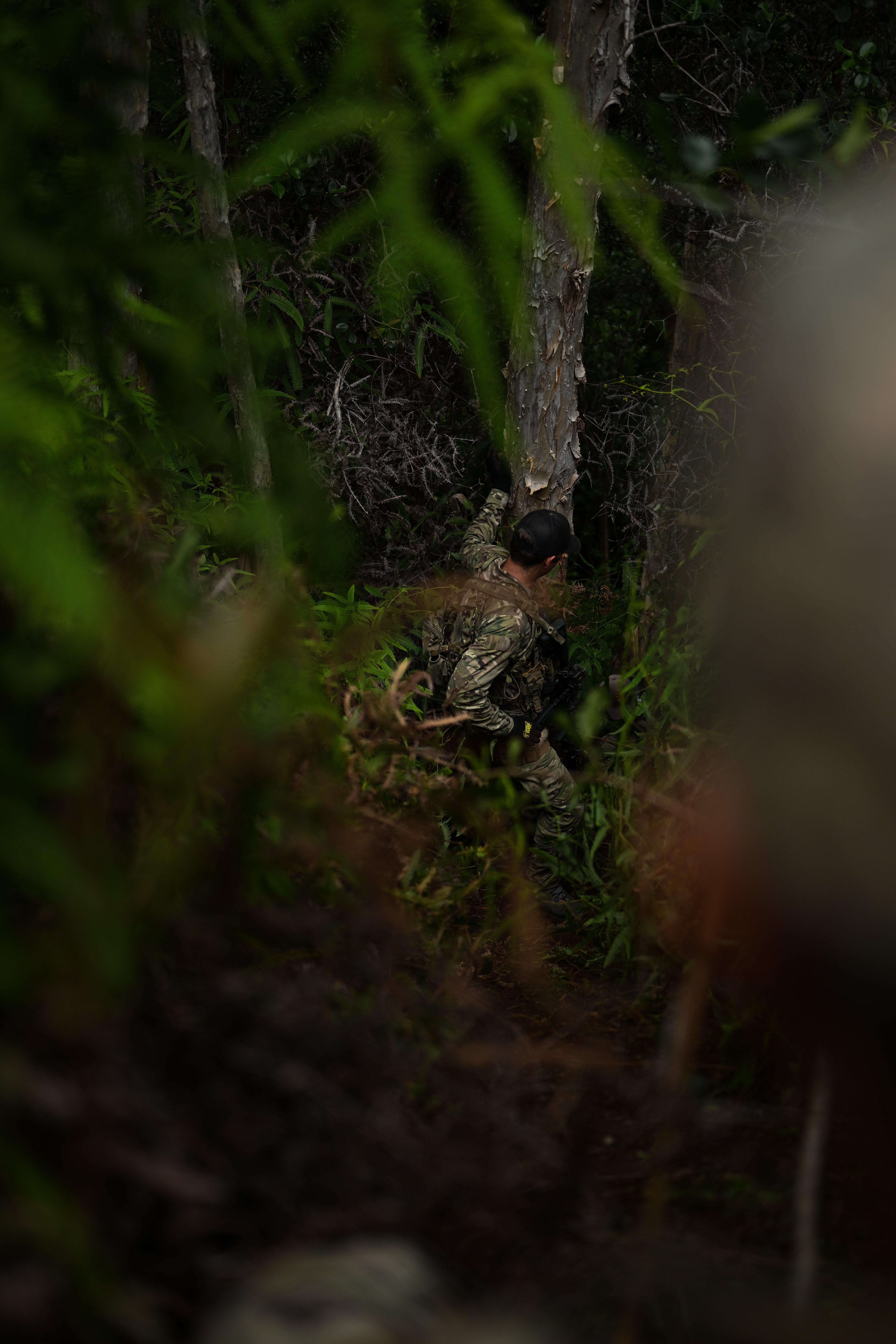 NSW practices Jungle Reconnaissance with Partner Forces during RIMPAC 2024