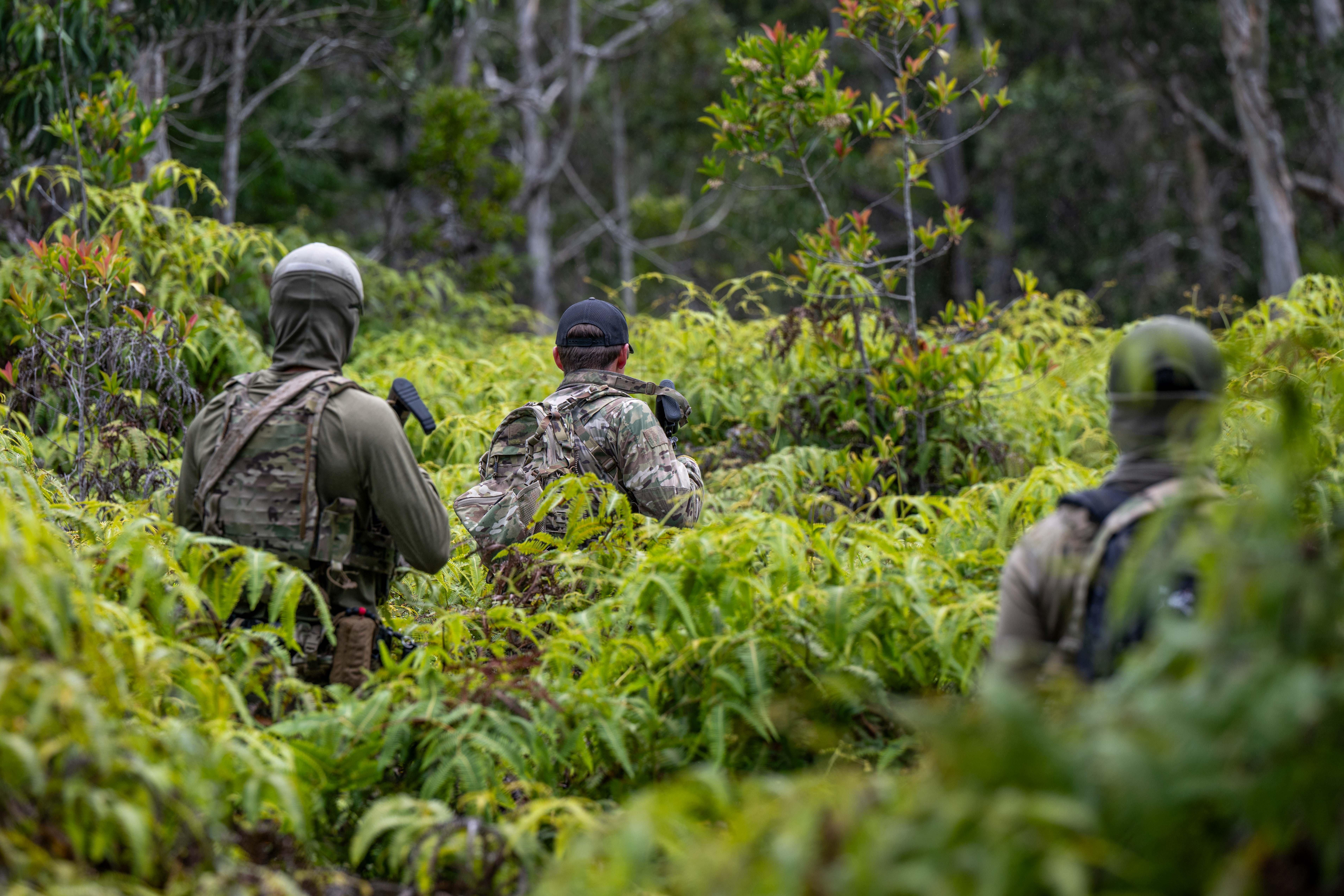 NSW practices Jungle Reconnaissance with Partner Forces during RIMPAC 2024