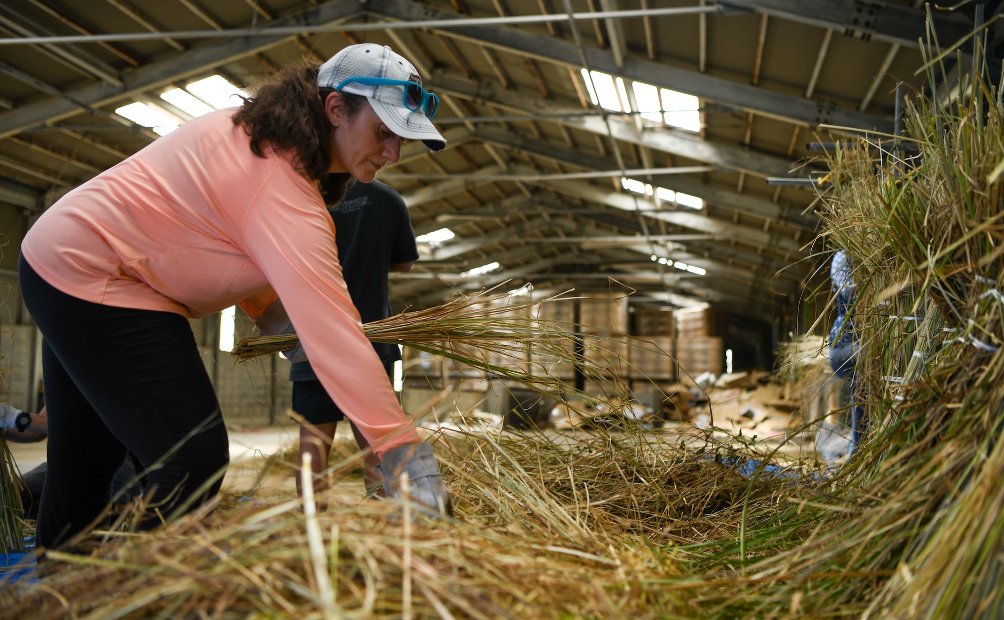 Melissa Rafferty, Wired Bean director, collects vetiver straw to bundle and dry out for the Okinawa tug-of-war at Onna, Japan, July 14, 2024. The Wired Bean hosted a volunteer event for military community members to help locals bundle and hang vetiver to dry in preparation to assemble a rope for the annual event. (U.S. Air Force photo by Airman 1st Class Jonathan R. Sifuentes)