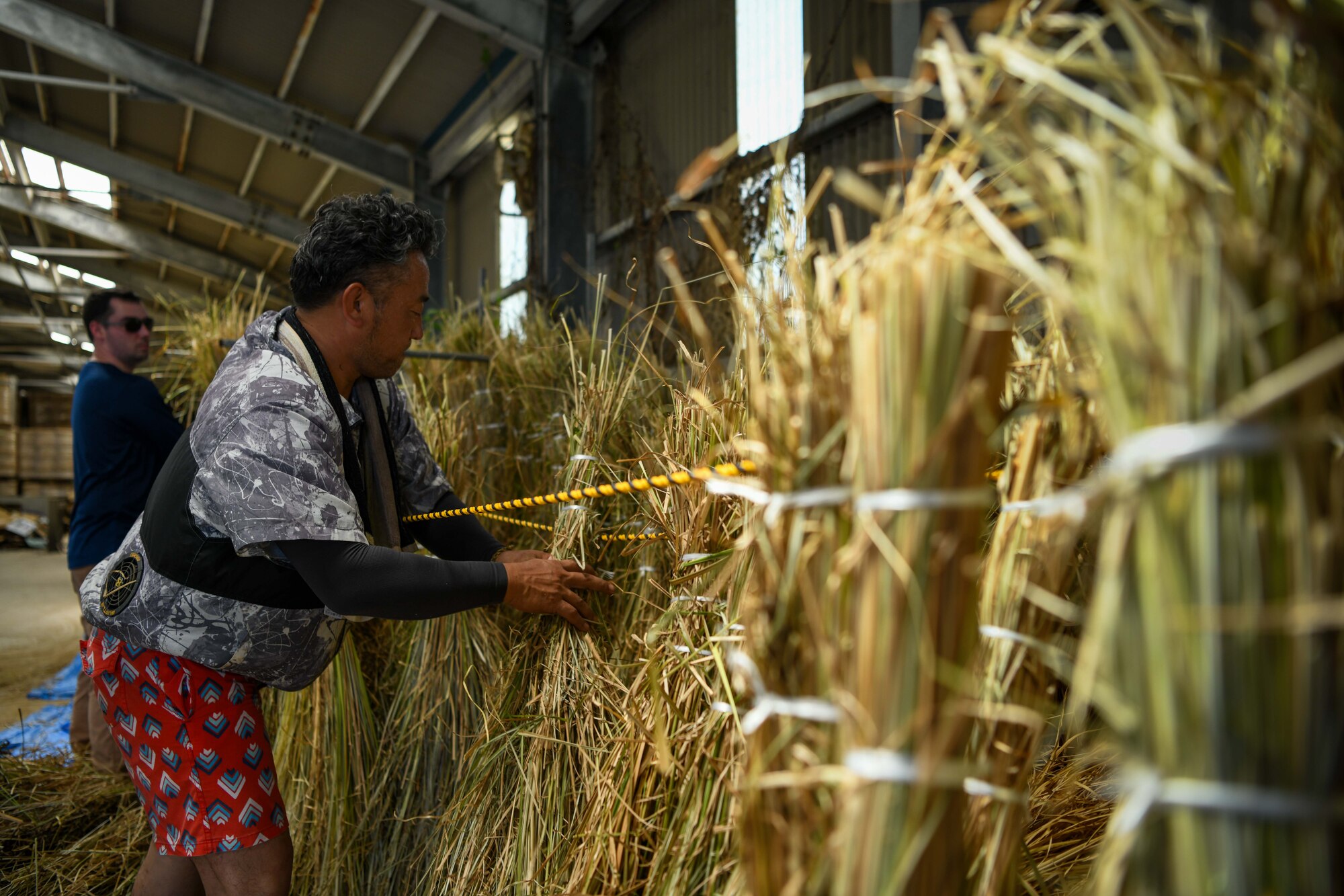 An Okinawa local hangs a bundle of vetiver to dry.