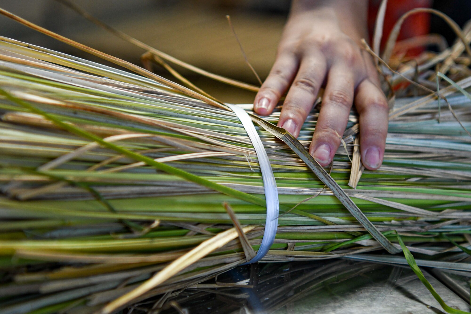 A detail shot of vetiver being bundled.