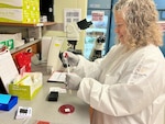 Laboratory Technician looking at the results of a strep test