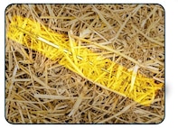 Graphic shows a needle highlighted in a pile of hay