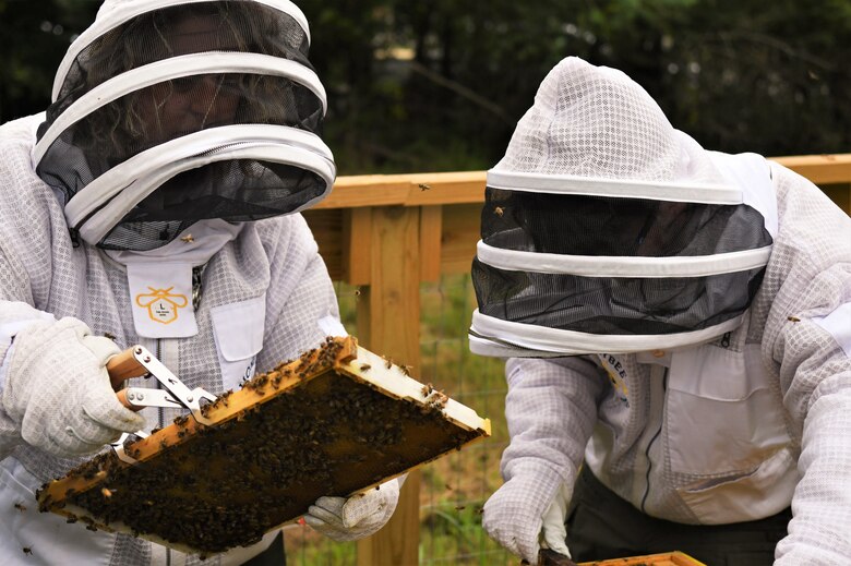 U.S. Army Corps of Engineers Park Rangers Stone Fagan and Ashley Webster remove panels of the Cordell Hull Bee hives to inspect the health of the bees and the hives, July 22, 2024. Cordell Hull Lake has recently received bee hives from HoneyBee Tennessee to increase local pollination efforts. (USACE Photo by Braden Simmons)