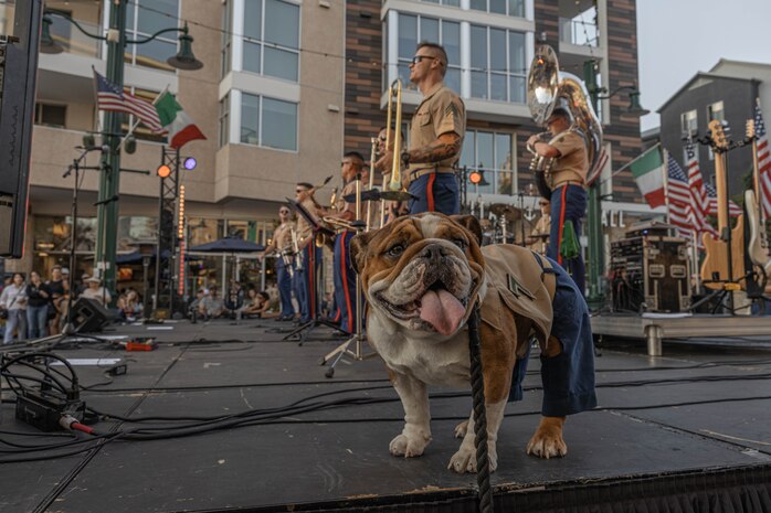 U.S. Marines Corps Pfc. Bruno, the mascot for Marine Corps Recruit Depot San Diego and the Western Recruiting Region, enjoys live music performed by Marine Band San Diego in Little Italy, San Diego, California, July 13, 2024. The mascot’s and Marine Band San Diego’s job is to boost morale, participate in outreach work and attend events and ceremonies. (U.S. Marine Corps photo by Lance Cpl. Alexandra M. Earl)